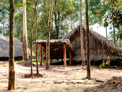 Half-day Tour to Cu Chi Tunnels